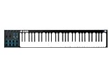 Alesis V61 Midi Klavye