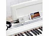 Korg PLUGKEY Mobile Midi / Audio
