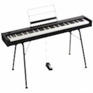 Korg D1 Digital Piyano