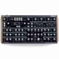 Novation Peak Polifonik Desktop Synthesizer