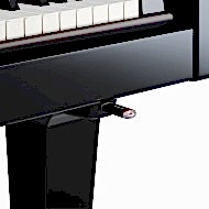 Roland RG-3F-PE Dijital Kuyruklu Piyano