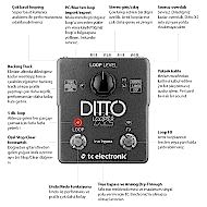 TC Electronic Ditto X2 Looper