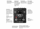TC Electronic Ditto X2 Looper