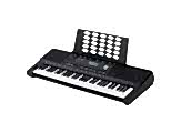 Roland E-X20 Tuş Hassasiyetli Ritimli Klavye