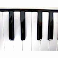 Cremonia CR32 Melodika Tuş Detayları