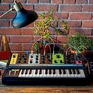 Moog Grandmother Analog Synthesizer