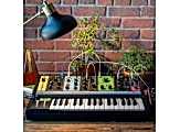 Moog Grandmother Analog Synthesizer