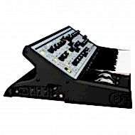 Moog Sub Phatty Analog Synthesizer