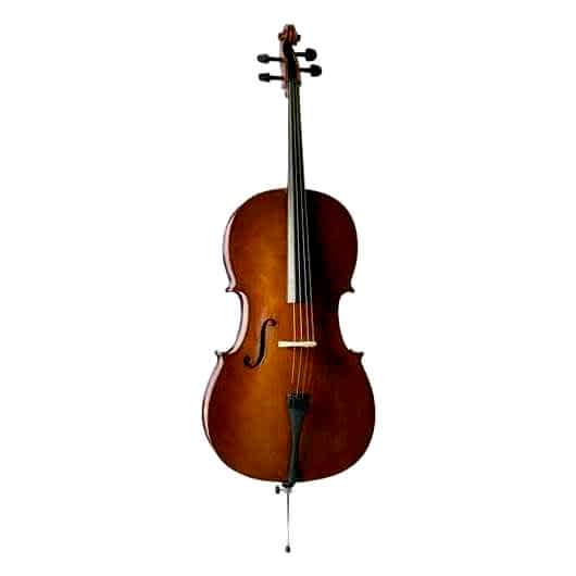 Valencia CE160G44 Tam Boy Cello
