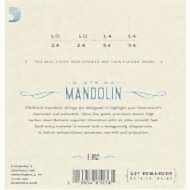 D'Addario EJ62 80/20 Bronze Mandolin Strings, Light Takım Tel - Mandolin Teli 10-34