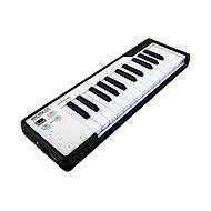 ARTURIA MicroLab - Siyah 25 Tuş SlimKey Micro keyboard + Yazılım Paketi
