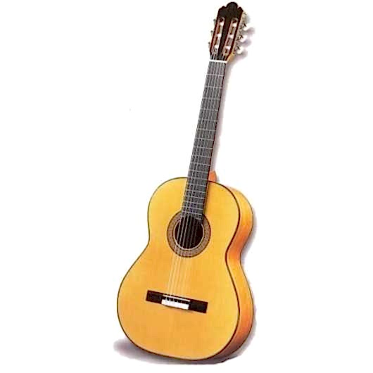 Antonio Sanchez Flamenko 1027 Klasik Gitar