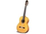Antonio Sanchez Flamenko 1027 Klasik Gitar