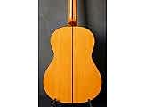 Antonio Sanchez Flamenko 1027 Klasik Gitar