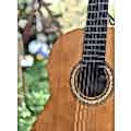 Valencia VC204 Naturel Klasik Gitar