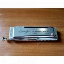 Cremonia HM10C Pompalı Chromatic Harmonica 10 Delikli Lexington