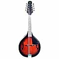 VALENCIA MD30VS MANDOLIN VINTAGE SUNBURST