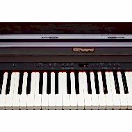 ROLAND RP501R-CR Gül Ağacı Dijital Duvar Piyanosu (Tabure & Kulaklık Hediyeli)