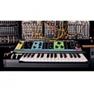 Moog Grandmother Analog Synthesizer