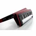Korg RK-100S-2 RD Keytar