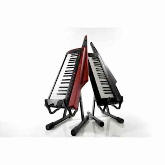 Korg RK-100S-2 RD Keytar