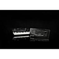 Korg MINILOGUE XD-M Analog Synthesizer Module